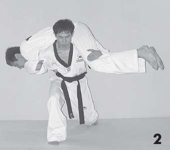 Иллюстрация к книге — Выживают сильнейшие. Физическая подготовка в практике боевых искусств и единоборств [i_088.jpg]