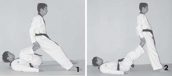 Иллюстрация к книге — Выживают сильнейшие. Физическая подготовка в практике боевых искусств и единоборств [i_091.jpg]