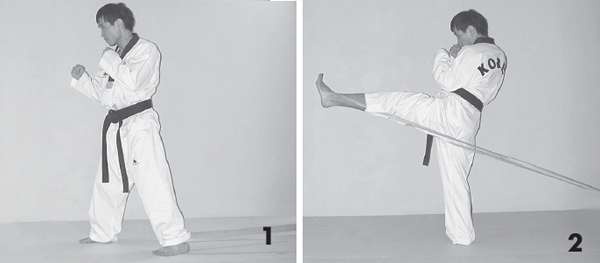 Иллюстрация к книге — Выживают сильнейшие. Физическая подготовка в практике боевых искусств и единоборств [i_098.jpg]