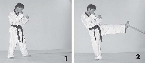 Иллюстрация к книге — Выживают сильнейшие. Физическая подготовка в практике боевых искусств и единоборств [i_099.jpg]