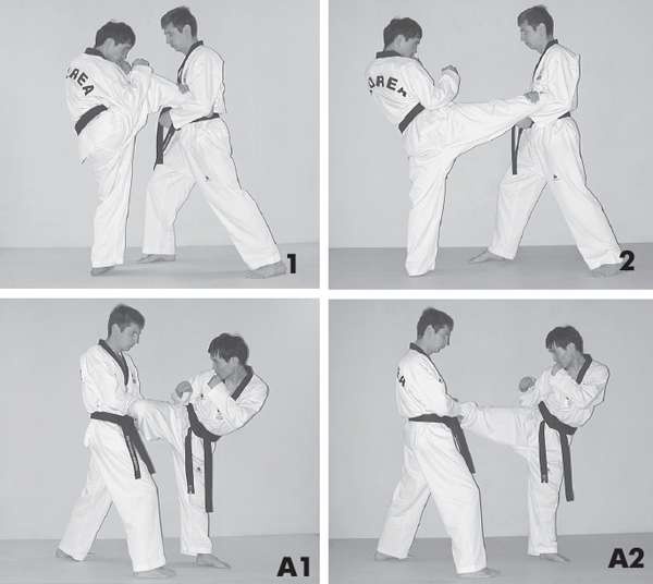 Иллюстрация к книге — Выживают сильнейшие. Физическая подготовка в практике боевых искусств и единоборств [i_105.jpg]