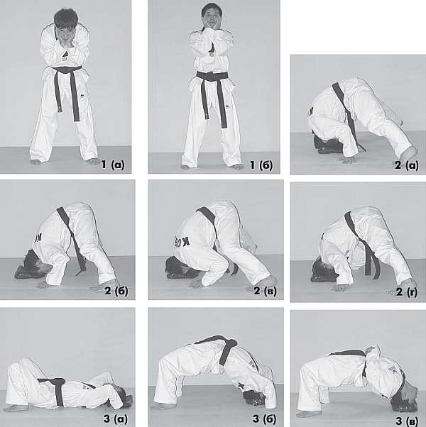 Иллюстрация к книге — Выживают сильнейшие. Физическая подготовка в практике боевых искусств и единоборств [i_106.jpg]