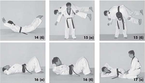 Иллюстрация к книге — Выживают сильнейшие. Физическая подготовка в практике боевых искусств и единоборств [i_111.jpg]