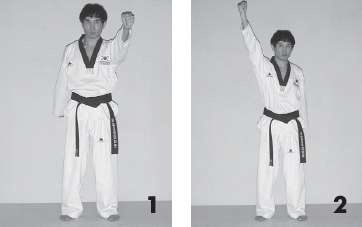 Иллюстрация к книге — Выживают сильнейшие. Физическая подготовка в практике боевых искусств и единоборств [i_144.jpg]