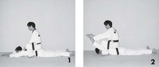 Иллюстрация к книге — Выживают сильнейшие. Физическая подготовка в практике боевых искусств и единоборств [i_162.jpg]