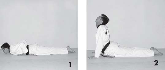 Иллюстрация к книге — Выживают сильнейшие. Физическая подготовка в практике боевых искусств и единоборств [i_172.jpg]