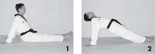 Иллюстрация к книге — Выживают сильнейшие. Физическая подготовка в практике боевых искусств и единоборств [i_173.jpg]