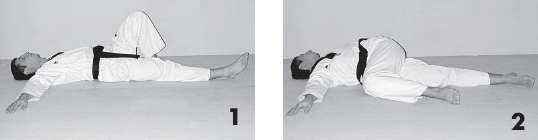 Иллюстрация к книге — Выживают сильнейшие. Физическая подготовка в практике боевых искусств и единоборств [i_175.jpg]