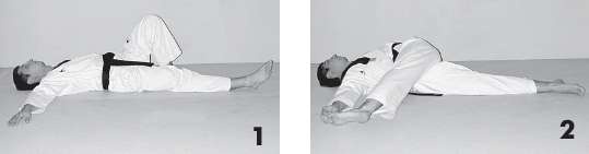 Иллюстрация к книге — Выживают сильнейшие. Физическая подготовка в практике боевых искусств и единоборств [i_176.jpg]