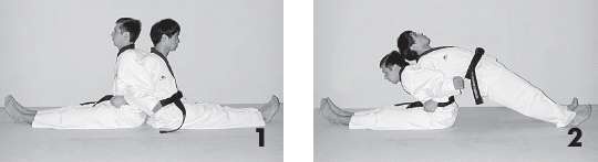 Иллюстрация к книге — Выживают сильнейшие. Физическая подготовка в практике боевых искусств и единоборств [i_181.jpg]