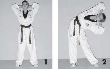 Иллюстрация к книге — Выживают сильнейшие. Физическая подготовка в практике боевых искусств и единоборств [i_191.jpg]