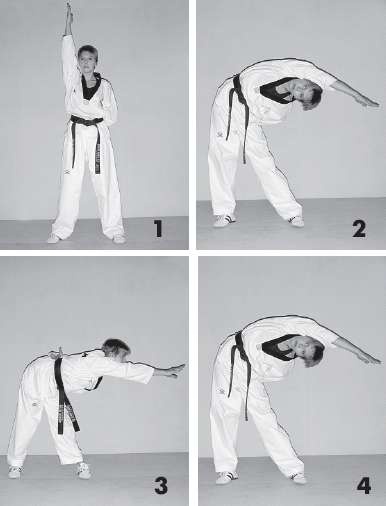 Иллюстрация к книге — Выживают сильнейшие. Физическая подготовка в практике боевых искусств и единоборств [i_194.jpg]