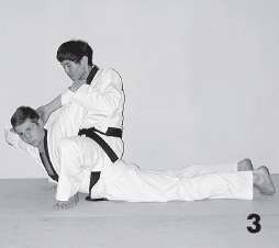 Иллюстрация к книге — Выживают сильнейшие. Физическая подготовка в практике боевых искусств и единоборств [i_197.jpg]