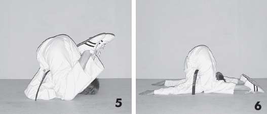 Иллюстрация к книге — Выживают сильнейшие. Физическая подготовка в практике боевых искусств и единоборств [i_205.jpg]