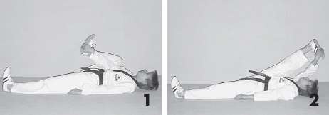 Иллюстрация к книге — Выживают сильнейшие. Физическая подготовка в практике боевых искусств и единоборств [i_217.jpg]