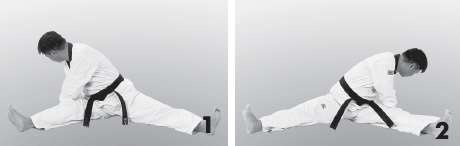 Иллюстрация к книге — Выживают сильнейшие. Физическая подготовка в практике боевых искусств и единоборств [i_218.jpg]