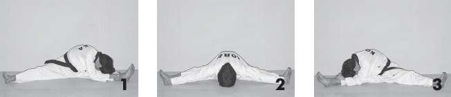 Иллюстрация к книге — Выживают сильнейшие. Физическая подготовка в практике боевых искусств и единоборств [i_220.jpg]