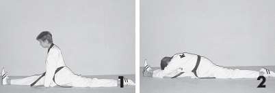 Иллюстрация к книге — Выживают сильнейшие. Физическая подготовка в практике боевых искусств и единоборств [i_222.jpg]