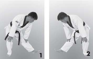 Иллюстрация к книге — Выживают сильнейшие. Физическая подготовка в практике боевых искусств и единоборств [i_224.jpg]