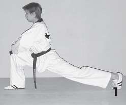 Иллюстрация к книге — Выживают сильнейшие. Физическая подготовка в практике боевых искусств и единоборств [i_228.jpg]