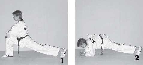 Иллюстрация к книге — Выживают сильнейшие. Физическая подготовка в практике боевых искусств и единоборств [i_230.jpg]