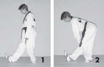 Иллюстрация к книге — Выживают сильнейшие. Физическая подготовка в практике боевых искусств и единоборств [i_249.jpg]