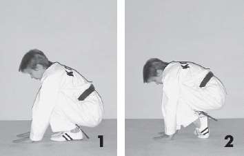 Иллюстрация к книге — Выживают сильнейшие. Физическая подготовка в практике боевых искусств и единоборств [i_253.jpg]