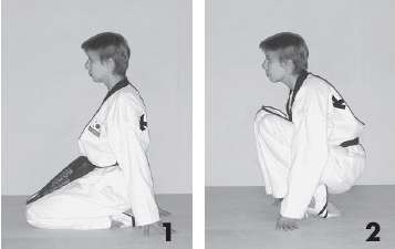 Иллюстрация к книге — Выживают сильнейшие. Физическая подготовка в практике боевых искусств и единоборств [i_254.jpg]