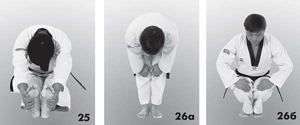 Иллюстрация к книге — Выживают сильнейшие. Физическая подготовка в практике боевых искусств и единоборств [i_262.jpg]