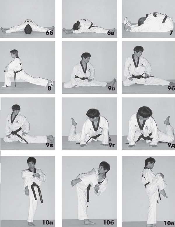 Иллюстрация к книге — Выживают сильнейшие. Физическая подготовка в практике боевых искусств и единоборств [i_267.jpg]