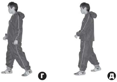 Иллюстрация к книге — Выживают сильнейшие. Физическая подготовка в практике боевых искусств и единоборств [i_293.jpg]