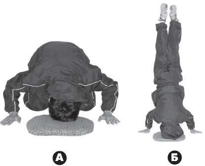 Иллюстрация к книге — Выживают сильнейшие. Физическая подготовка в практике боевых искусств и единоборств [i_301.jpg]