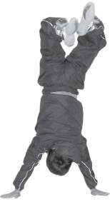 Иллюстрация к книге — Выживают сильнейшие. Физическая подготовка в практике боевых искусств и единоборств [i_302.jpg]