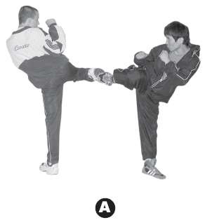 Иллюстрация к книге — Выживают сильнейшие. Физическая подготовка в практике боевых искусств и единоборств [i_303.jpg]