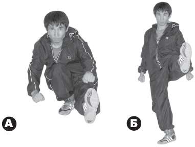 Иллюстрация к книге — Выживают сильнейшие. Физическая подготовка в практике боевых искусств и единоборств [i_310.jpg]