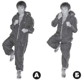 Иллюстрация к книге — Выживают сильнейшие. Физическая подготовка в практике боевых искусств и единоборств [i_311.jpg]