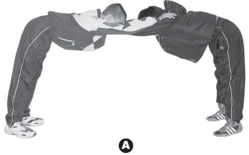 Иллюстрация к книге — Выживают сильнейшие. Физическая подготовка в практике боевых искусств и единоборств [i_315.jpg]