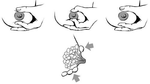 Иллюстрация к книге — Искусство грудного вскармливания [_17.jpg]