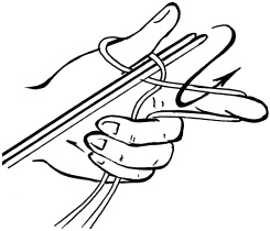 Иллюстрация к книге — Полная энциклопедия домашнего хозяйства [i_028.jpg]