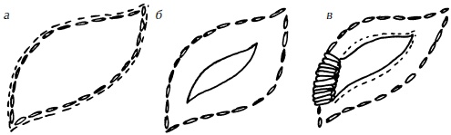 Иллюстрация к книге — Полная энциклопедия домашнего хозяйства [i_074.jpg]