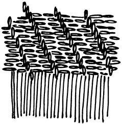 Иллюстрация к книге — Полная энциклопедия домашнего хозяйства [i_084.jpg]