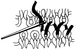 Иллюстрация к книге — Полная энциклопедия домашнего хозяйства [i_092.jpg]