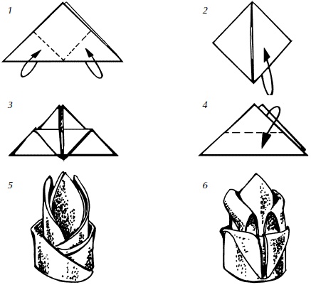 Иллюстрация к книге — Полная энциклопедия домашнего хозяйства [i_117.jpg]