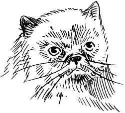 Иллюстрация к книге — Полная энциклопедия домашнего хозяйства [i_130.jpg]