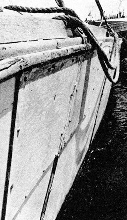 Иллюстрация к книге — Гонка века. Самая громкая авантюра столетия [i_021.jpg]