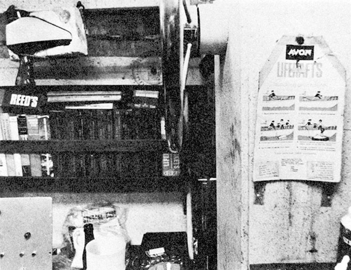 Иллюстрация к книге — Гонка века. Самая громкая авантюра столетия [i_031.jpg]