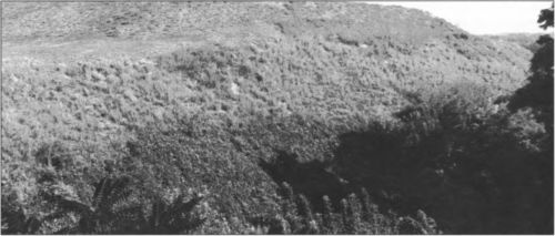 Иллюстрация к книге — Азовское осадное сидение 1641 года [i_021.jpg]