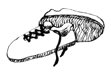 Иллюстрация к книге — Бабушка с крылышками [i_025.jpg]