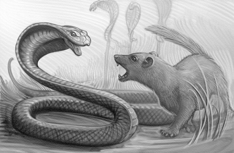 Иллюстрация к книге — Круг Героев [_14.jpg]