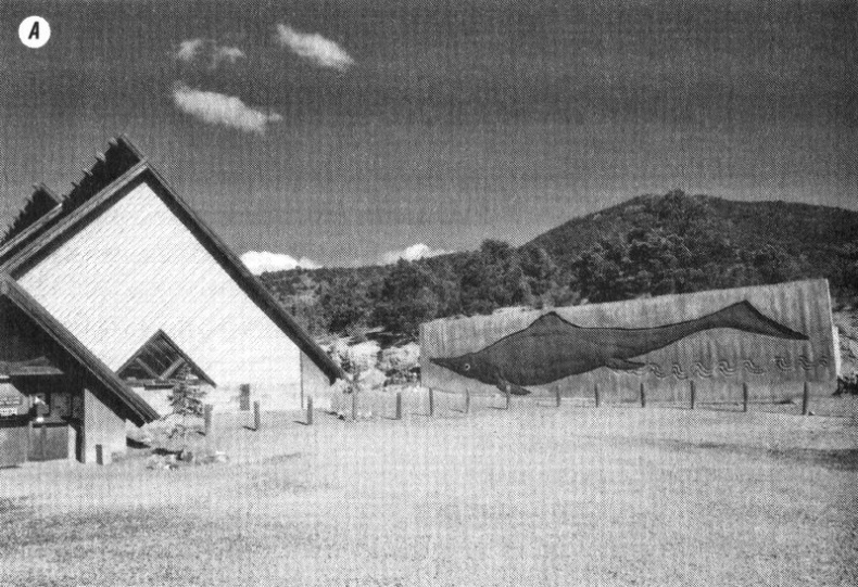 Иллюстрация к книге — Отпечатки жизни. 25 шагов эволюции и вся история планеты [img_101.jpg]